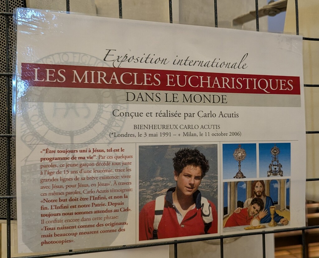 Exposition Carlo Acutis : les miracles eucharistiques